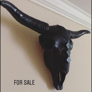 Bull skull decor